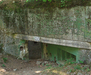 home_asg_arenas_2_1